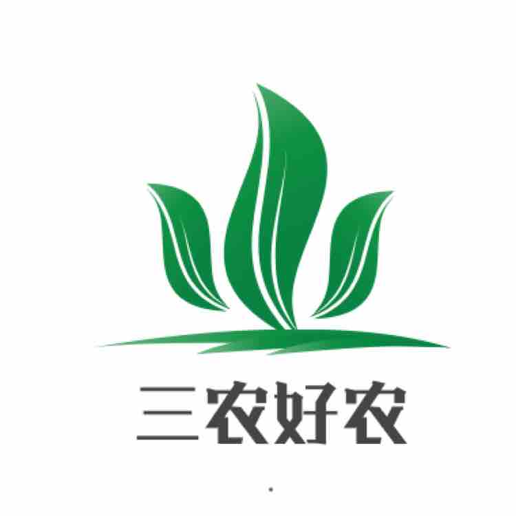 房间头像