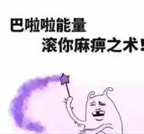 爱猫线的朵啦头像