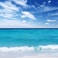 天道酬勤155834986头像