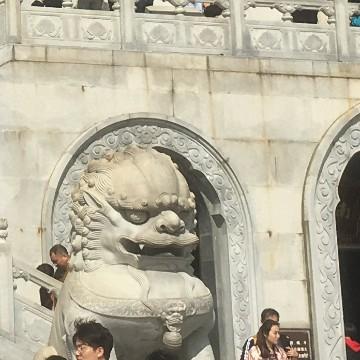 夏日清凉800头像