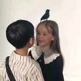科目一科目四理论技巧头像