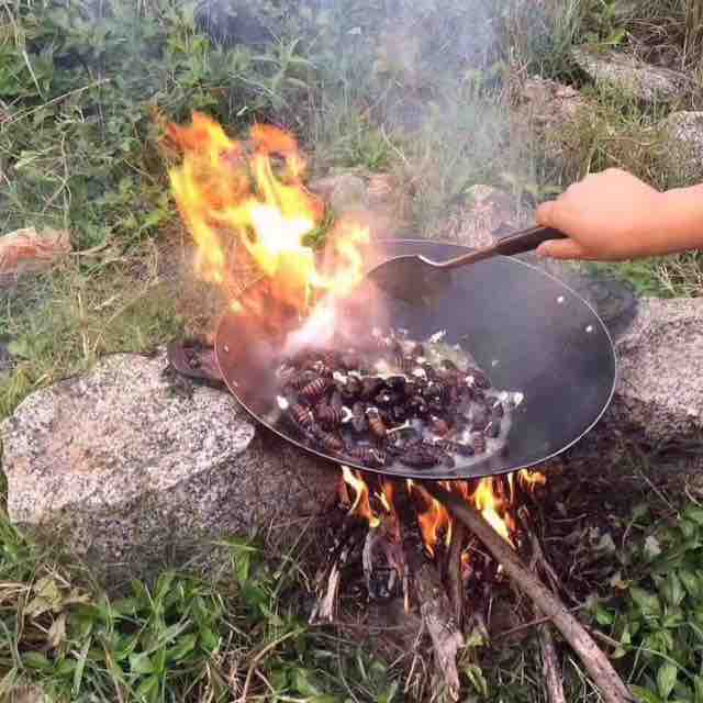 觅食天下头像