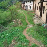 静待一树花开头像