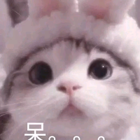 终头像