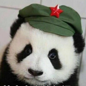 纳莫罗双华头像