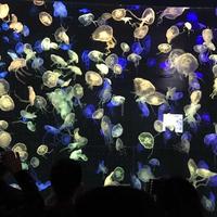 俺是耕田的哦头像