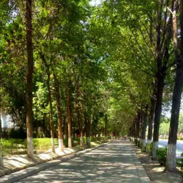 难得糊涂1678372头像