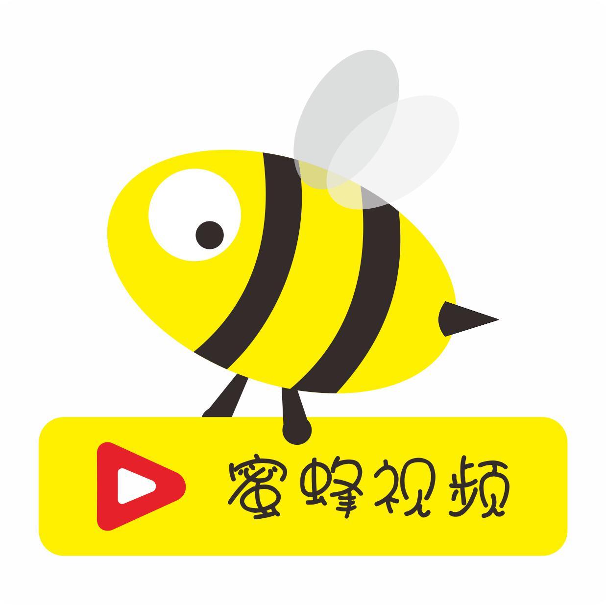 蜜蜂视频头像