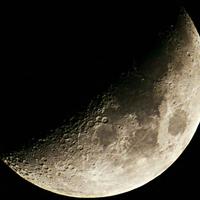 乂眉毛的猴子头像