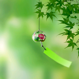 菠萝~吹雪头像