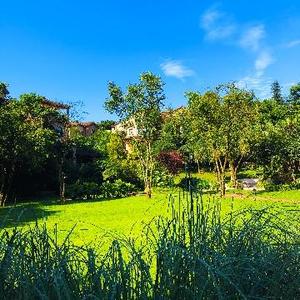 逐水草居山水畔头像