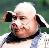 傳説中的小豬头像