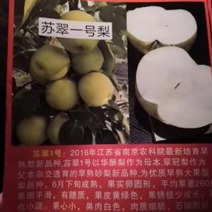 奔跑的蜗牛2018888头像