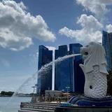 新加坡旅游攻略抖音头像