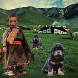 用户4331874788511头像