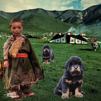 用户4331874788511头像