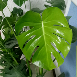 手机用户63260056606头像