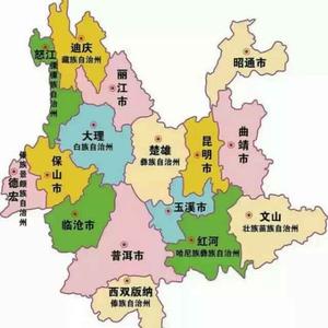 自由的葡萄G9头像