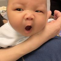 积极的海燕I4S头像