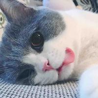 散落漫天回忆的碎片98458356头像