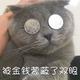 微微一笑老村長头像