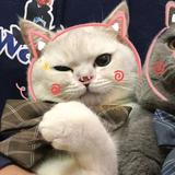 Longyun12头像
