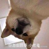 打酱油的搬运工头像