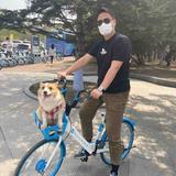 老实巴交的小北头像