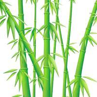 一节竹子头像