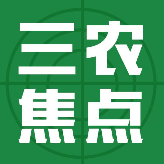 三农焦点头像