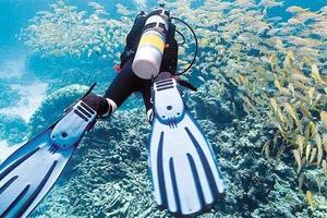 环游世界的魔术师头像