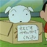 帝1482363777头像