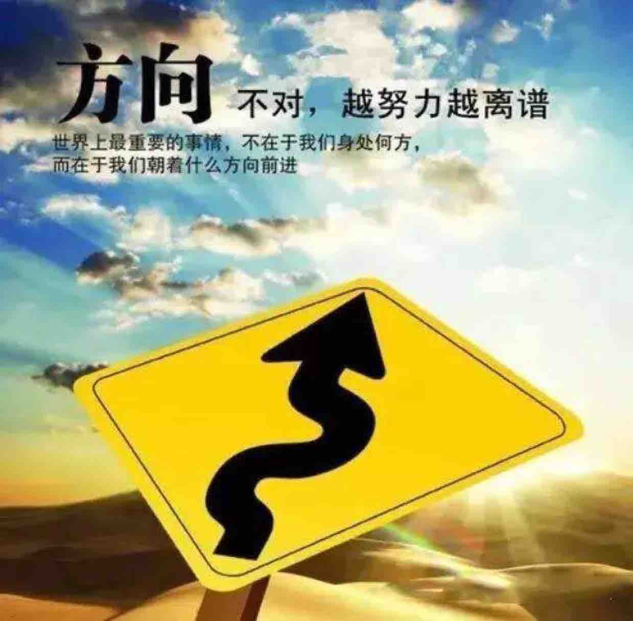 风一样无拘无束头像