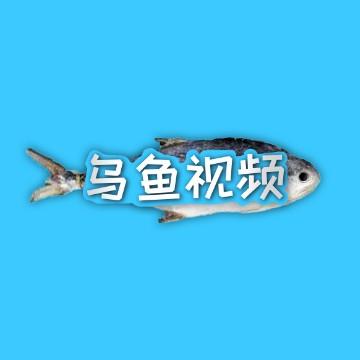 乌鱼视频头像