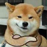 用户74695570754头像