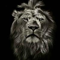 喝了就想哭啊头像