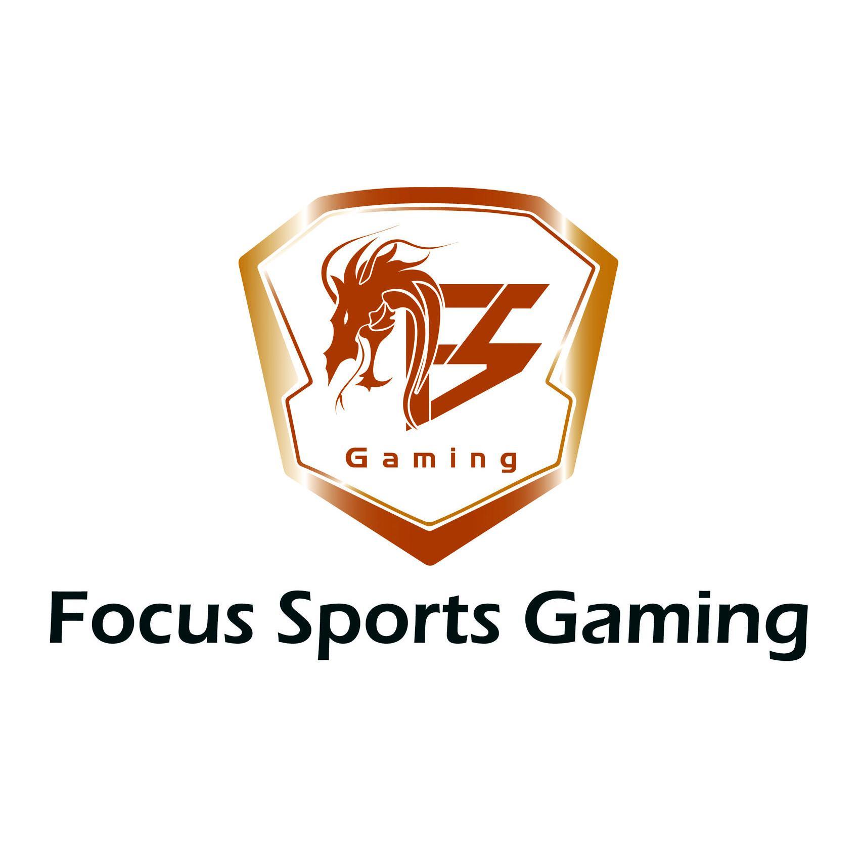 FSG电子竞技俱乐部头像