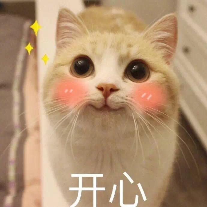 爱吃熊猫的竹子头像