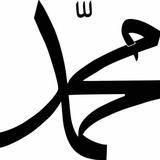 淡淡的Muhammad头像