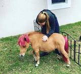 麻麻赖赖盘它头像