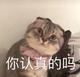 LIAR头像
