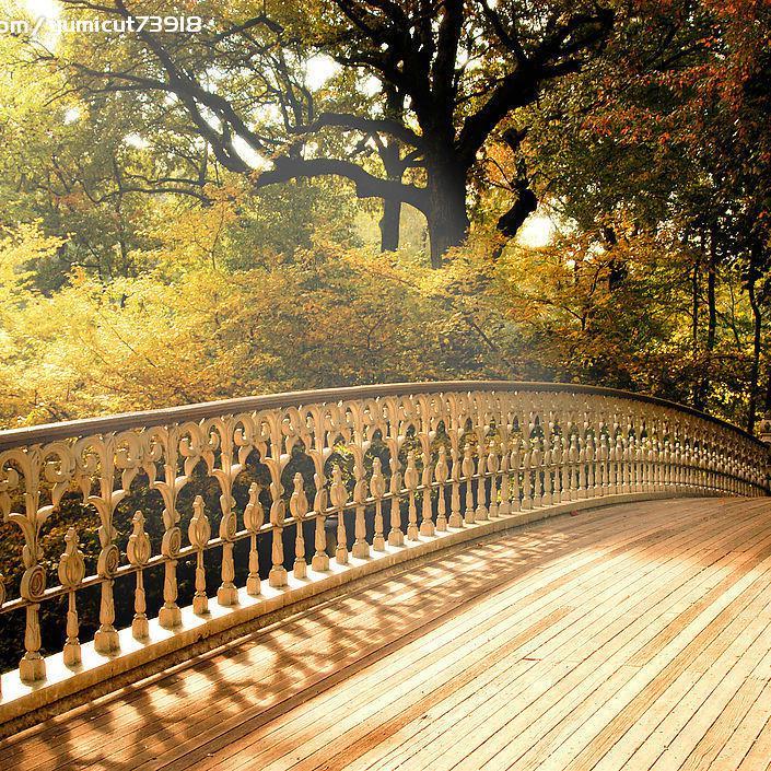 手机用户95991934554头像