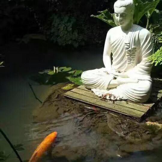 麦田海洋头像