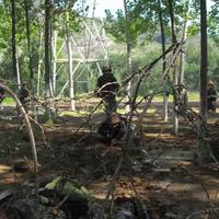 家和万事兴9205218144头像