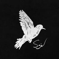 Sanders🌳🌳头像