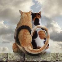 用户2306561471457头像