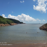 专爬没皮的树头像