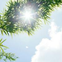 镜花水月头像