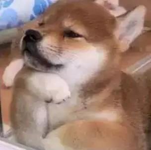 渐远_头像