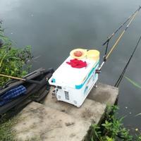 会飞的鱼30519头像